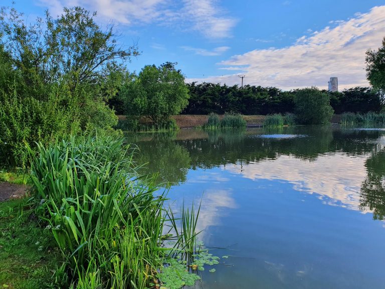 Lingmere Fishery