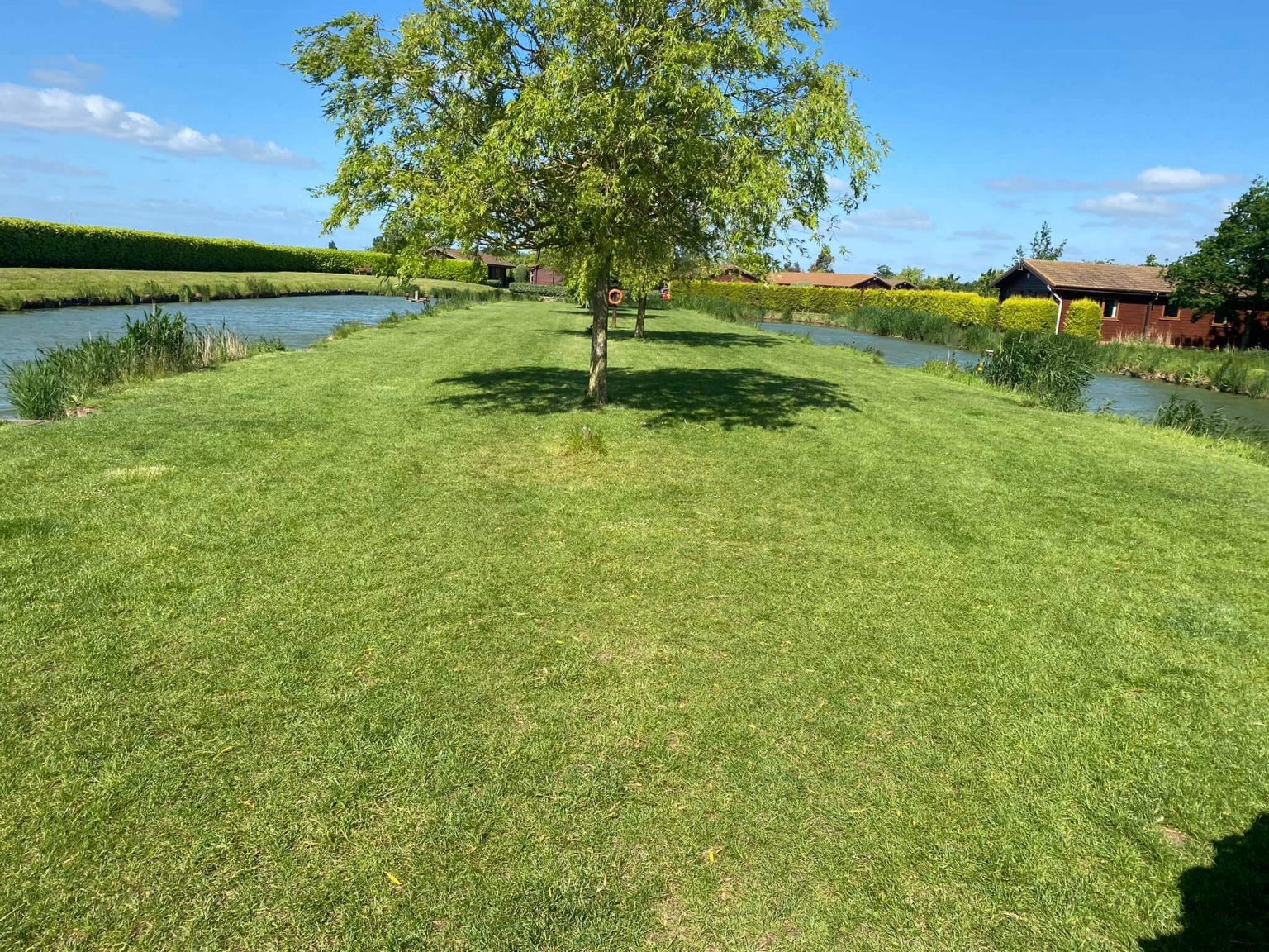 Lingmere Fishery, from the fishery's own website