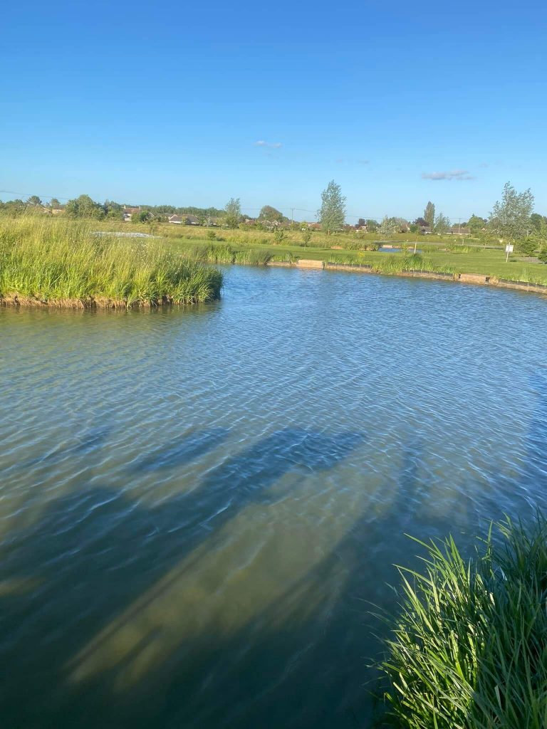 Lingmere Fishery